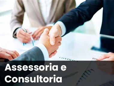 Assessoria e Consultoria